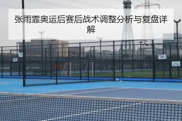 张雨霏奥运后赛后战术调整分析与复盘详解
