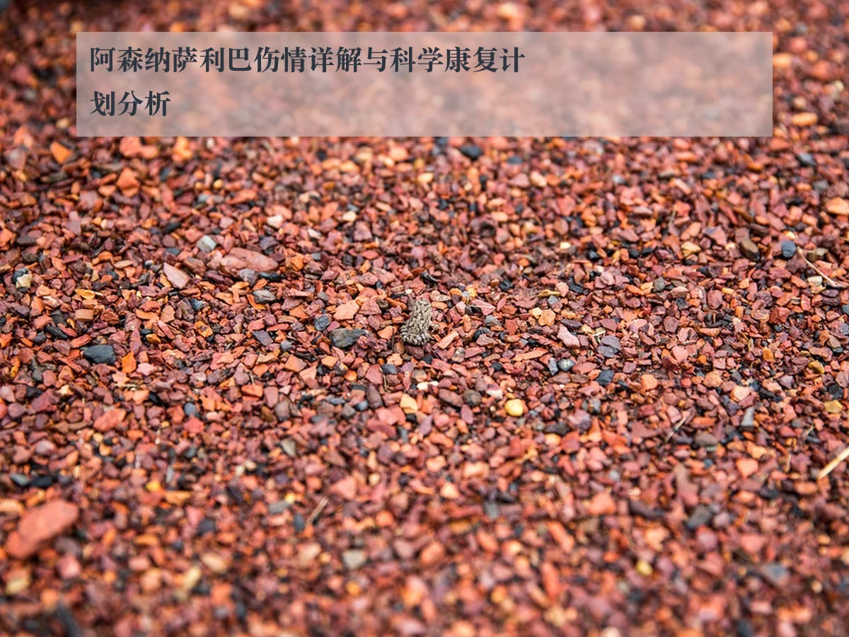阿森纳萨利巴伤情详解与科学康复计划分析